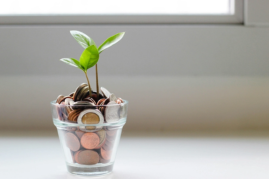 Glass pot with pennies in, and a green leaf growing through